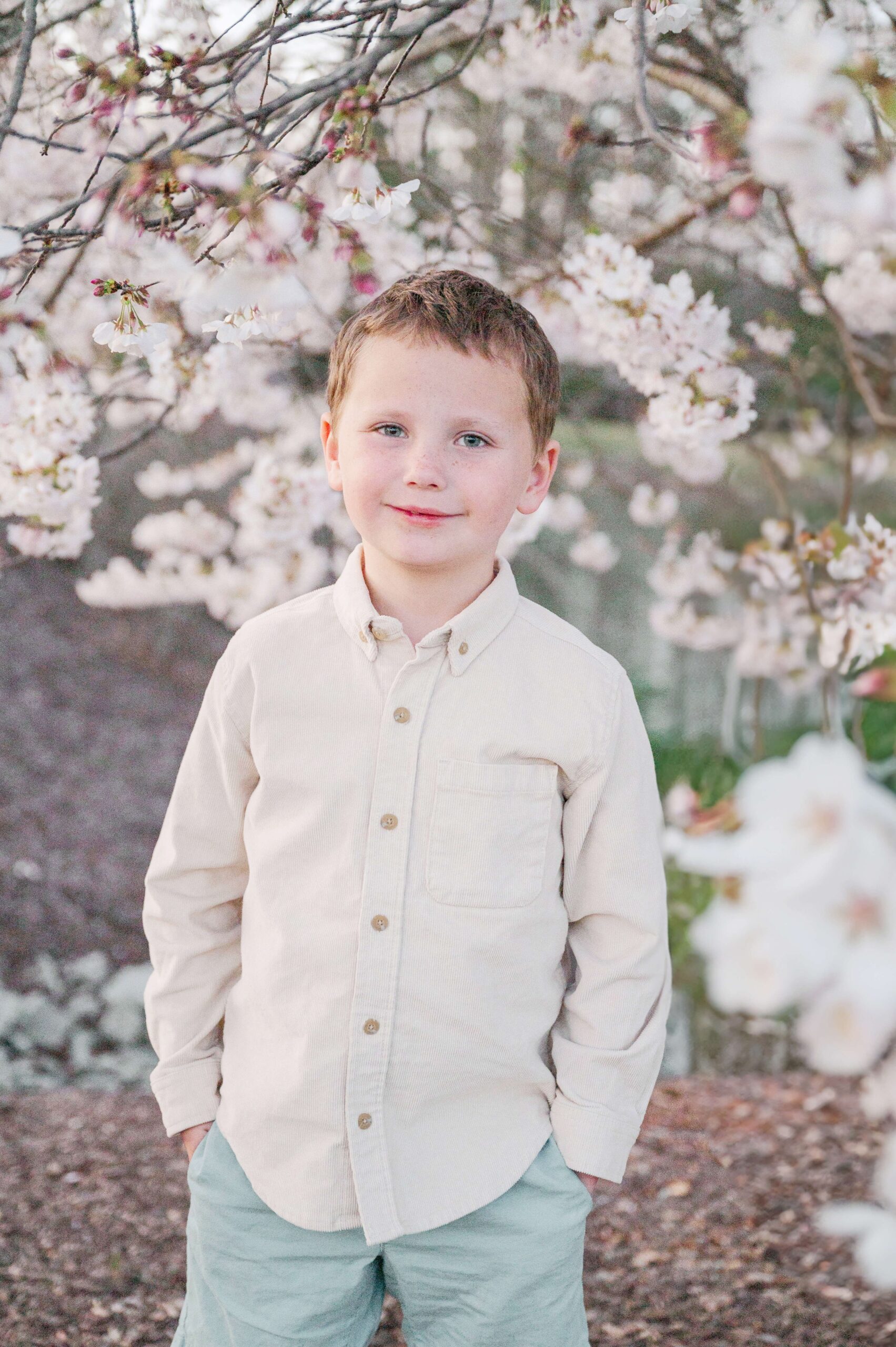 A smiling toddler boy in a cream shirt stands under a white blooming tree in a park after visiting cary nc summer camps