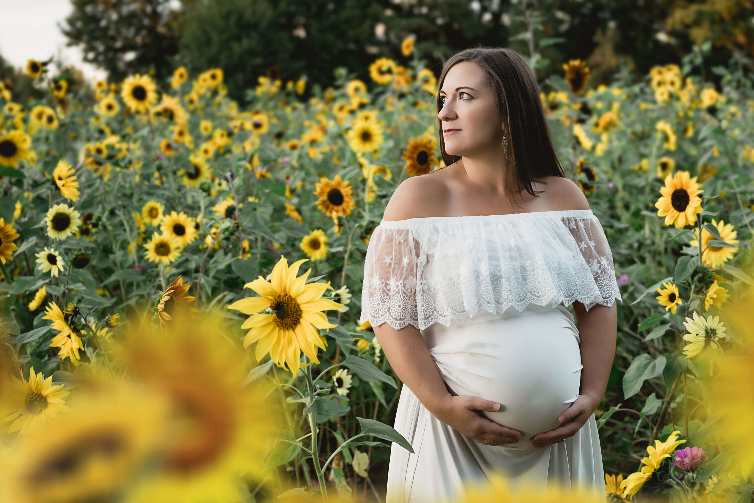 A mother to be stands in a field of sunflowers while holding her bump in a white maternity gown